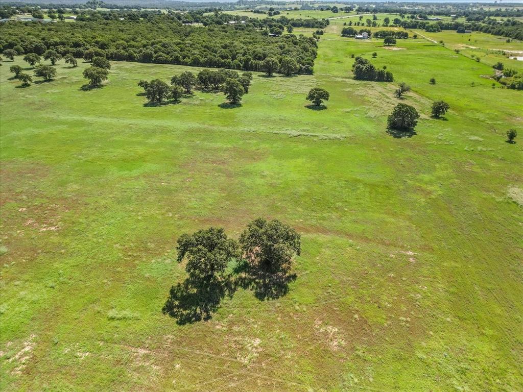 1330 Midway Drive Springtown, TX 76082 - Photo 10 of 15 View of coastal Bermuda