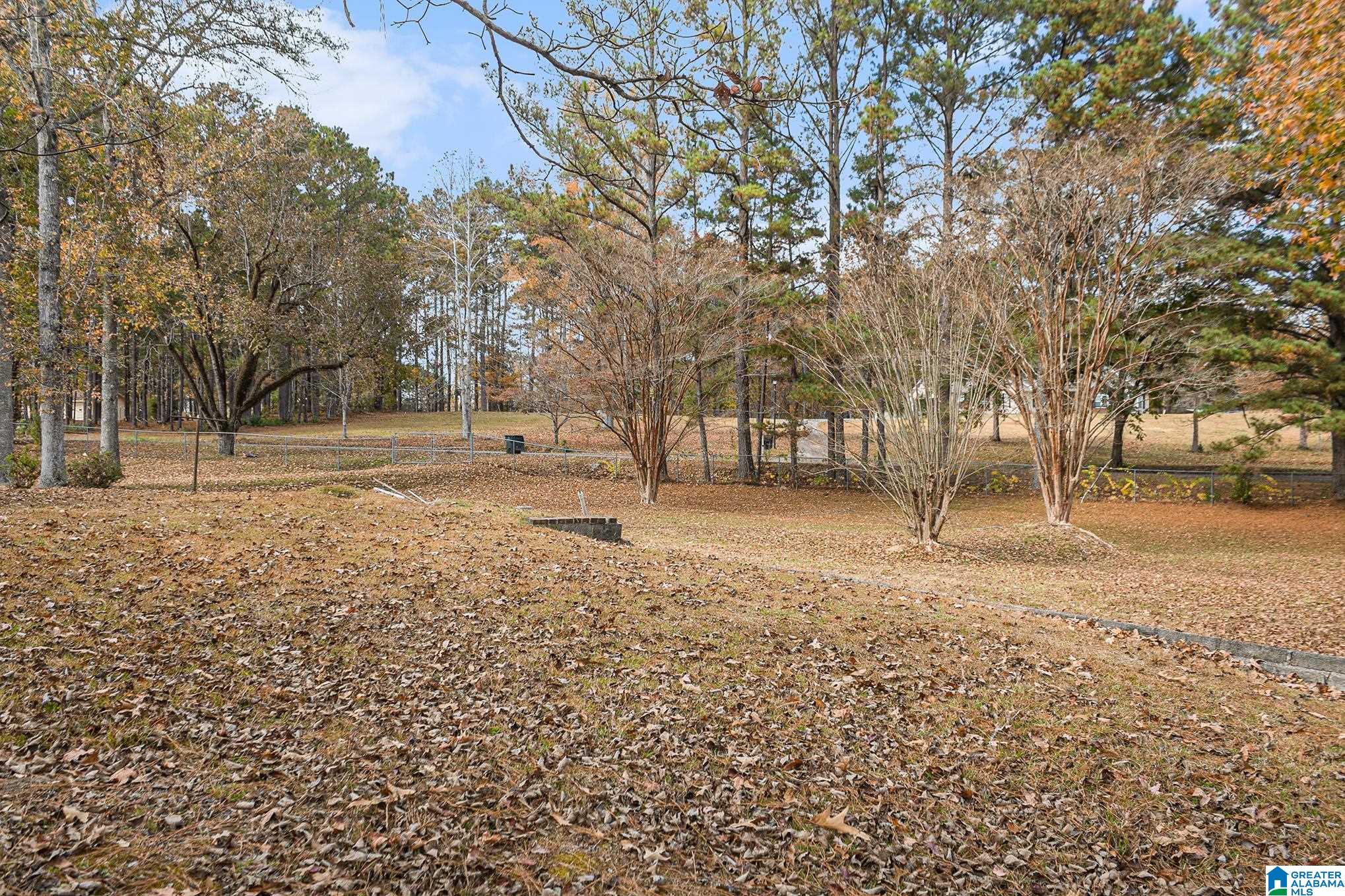 3211 Hillabee Road Alexander City, AL 35010 - Photo 31 of 35