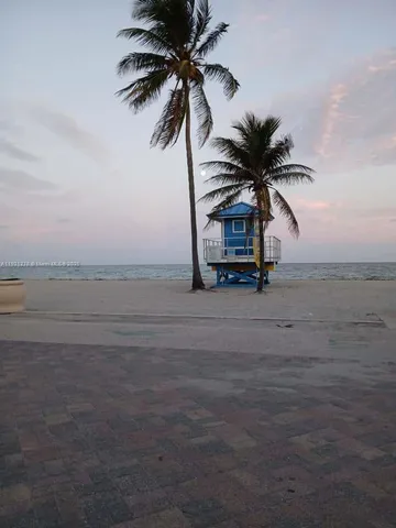 a view of a palm tree with an ocean view