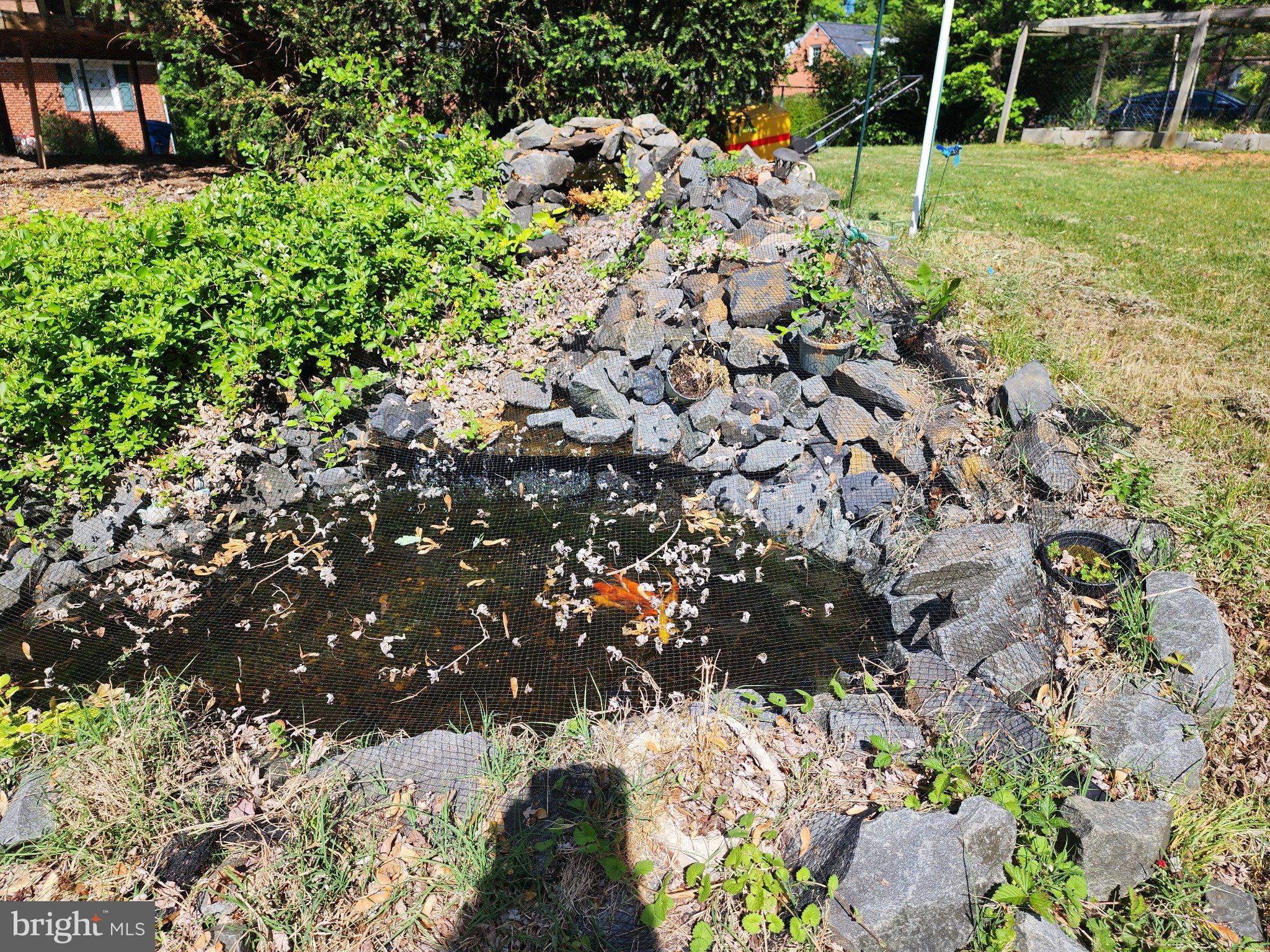 13 Main Street Huntingtown, MD 20639 - Photo 32 of 32 Tranquil garden pond oasis.