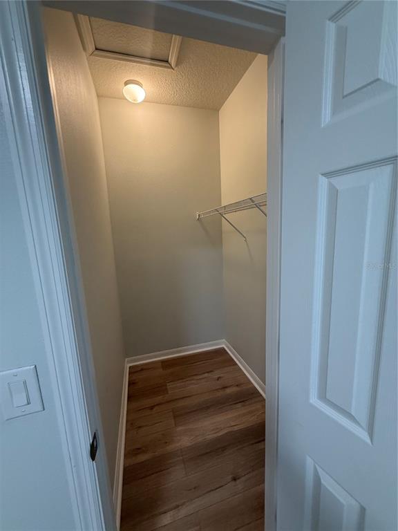 8519 Rindge Road Polk City, FL 33868 - Photo 6 of 21