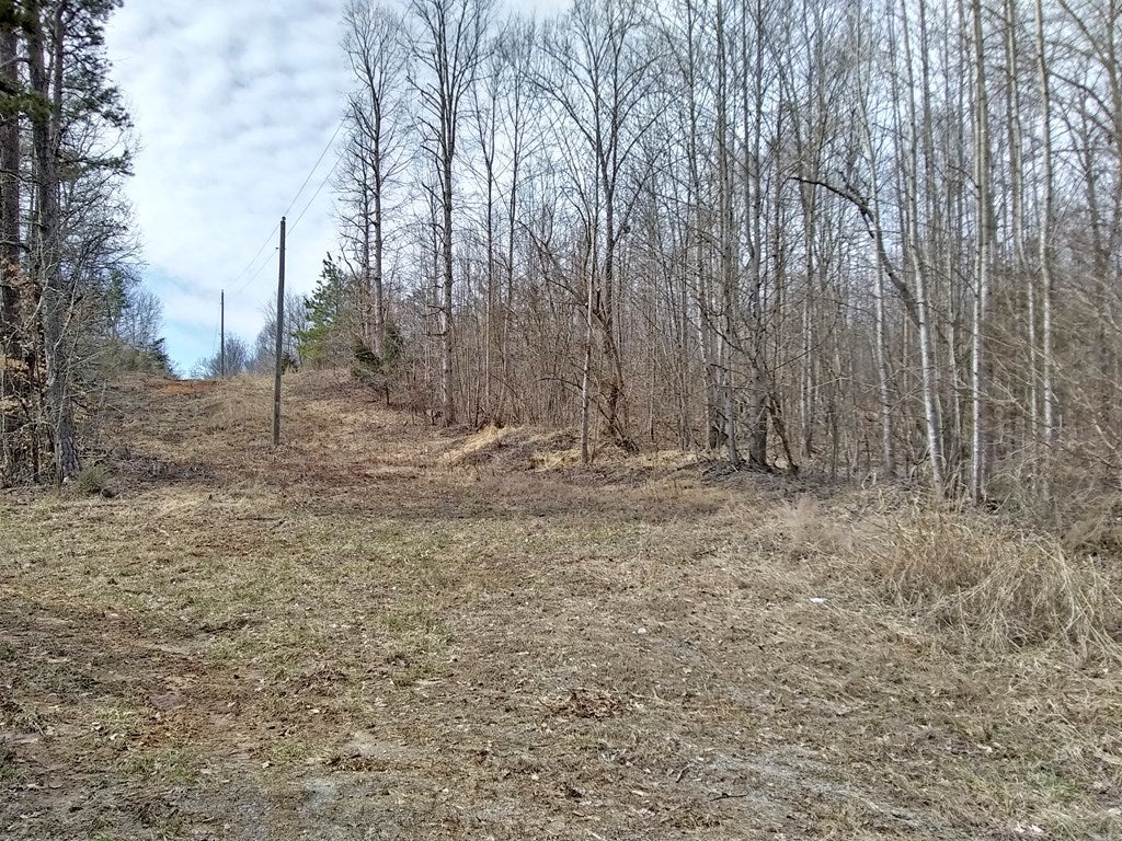 636 Poorhouse Road Rice, VA 23966 - Photo 3 of 3 Gallery Image 3
