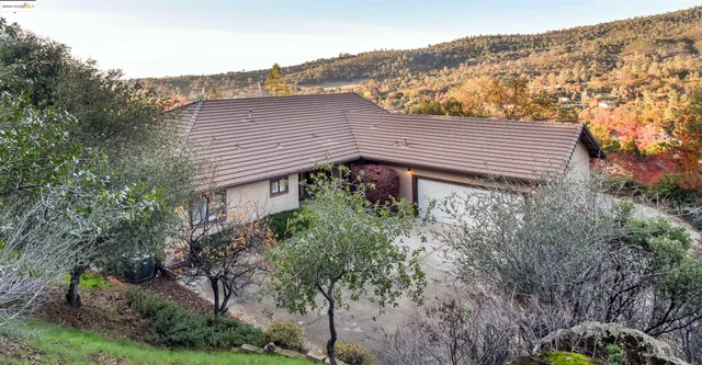 a view of a house with a yard and potted plants