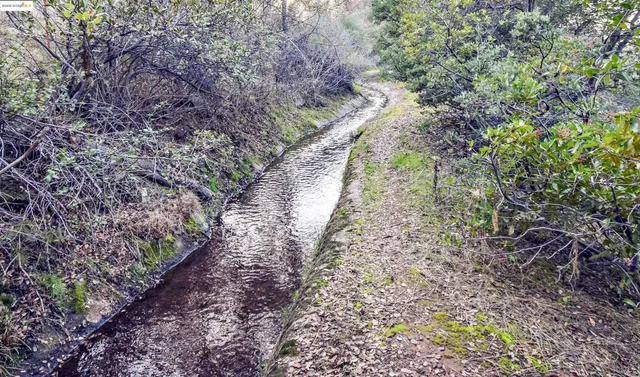 a view of a house with a yard and a garden
