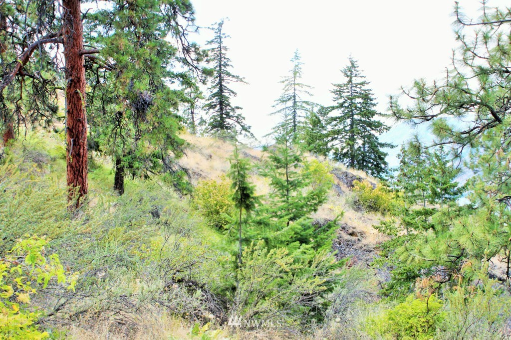 18834 South Lakeshore Road Chelan, WA 98816 - Photo 9 of 15 Gallery Image 9
