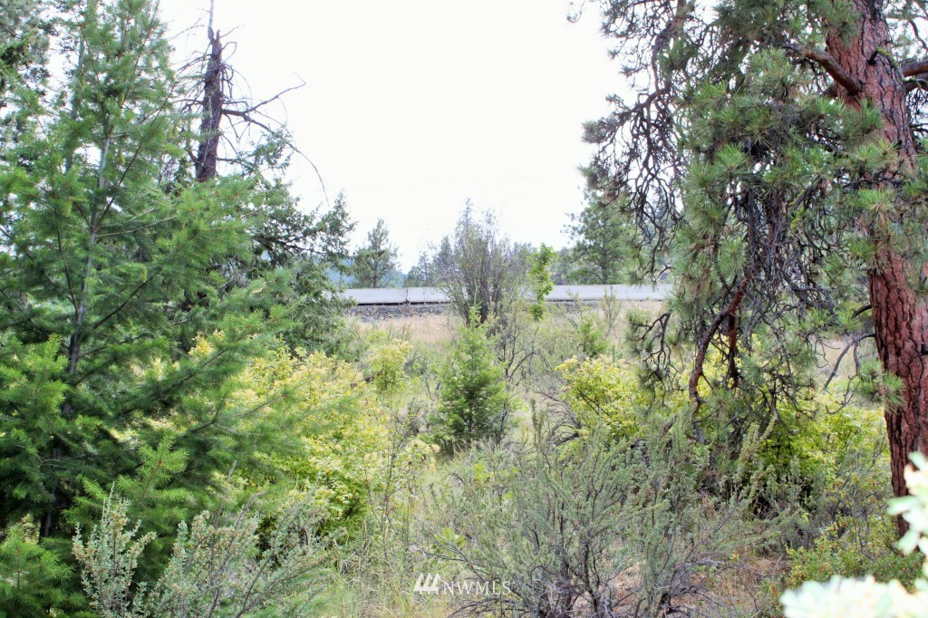 18834 South Lakeshore Road Chelan, WA 98816 - Photo 10 of 15 Gallery Image 10