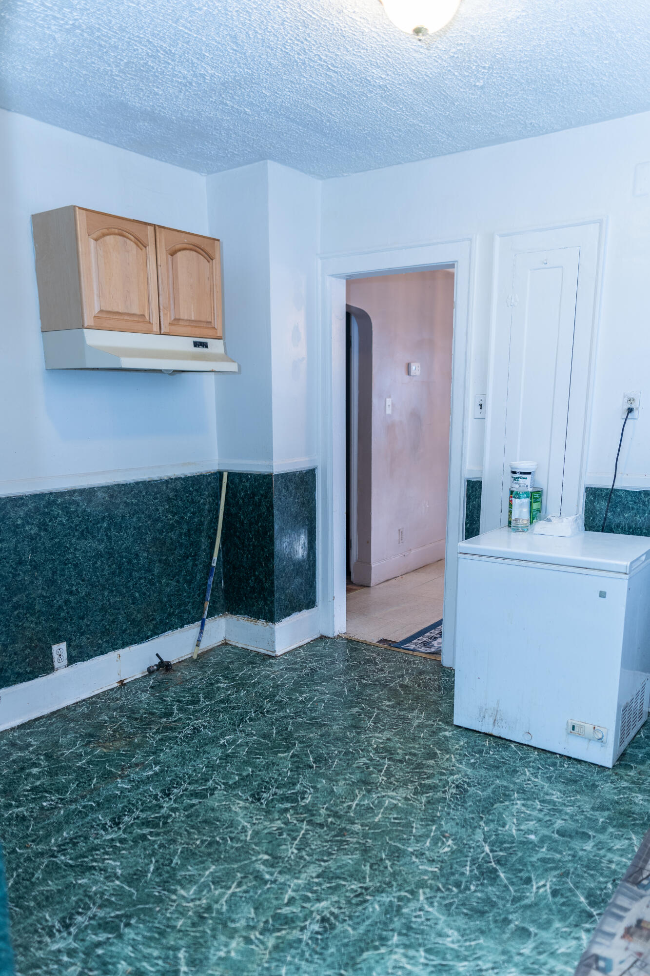 9222 Devonshire Road Detroit, MI 48224 - Photo 17 of 49 DSC08430