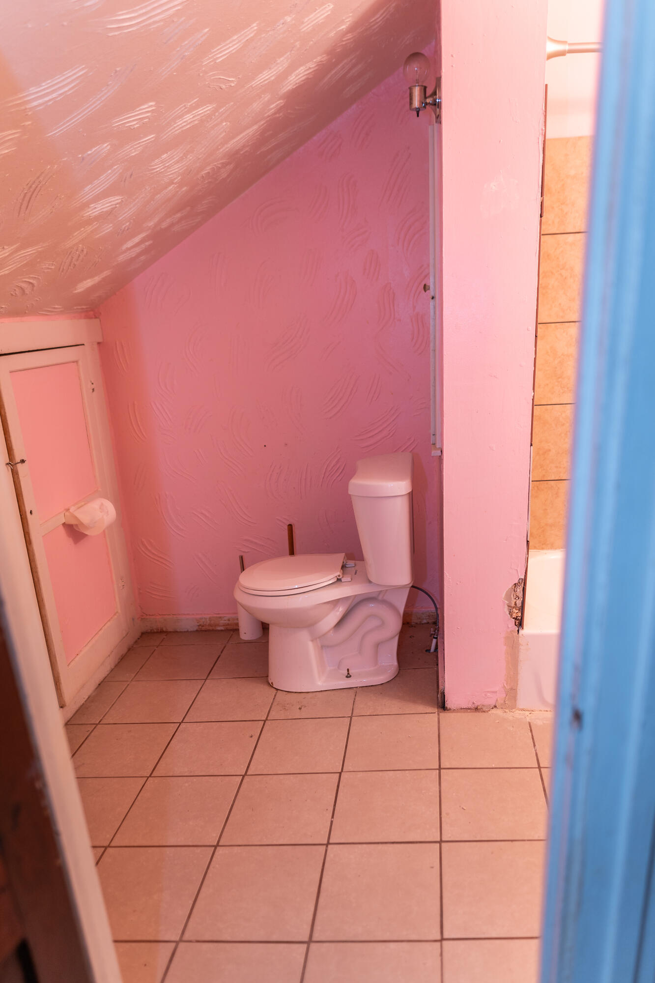 9222 Devonshire Road Detroit, MI 48224 - Photo 33 of 49 DSC08448