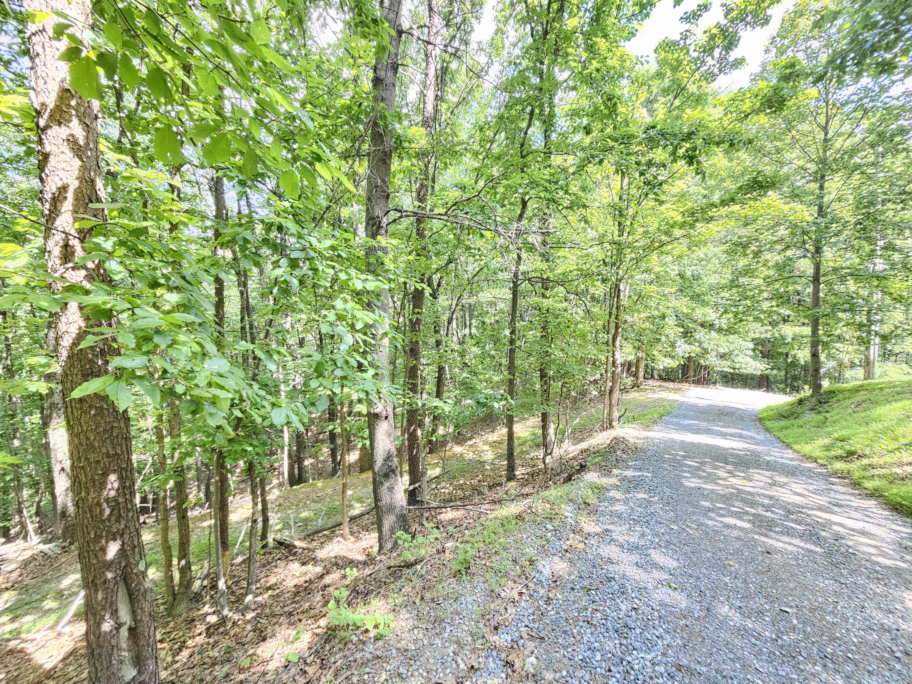 634 Zimmerman Road Blue Ridge, VA 24064 - Photo 52 of 55 20260622_111431