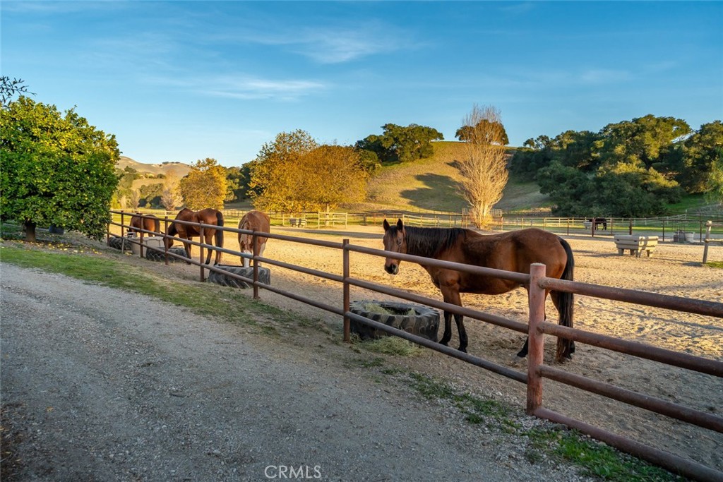 1535 Wild Rye Way Arroyo Grande, CA 93420 - Photo 68 of 71
