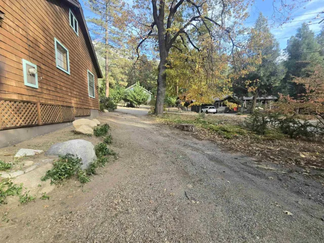 a view of a yard with plants and trees