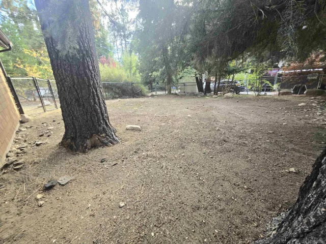 a view of a yard with a tree