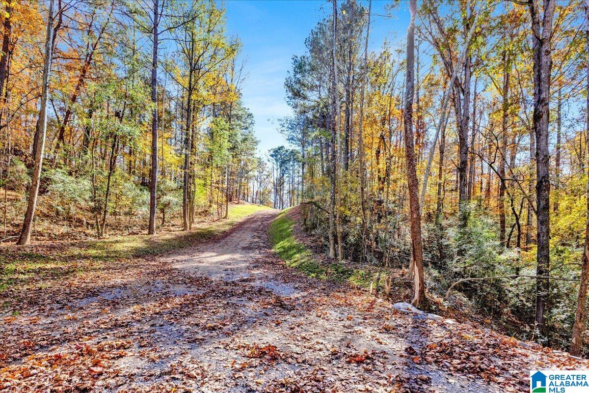 0 Hammock Road Trussville, AL 35173 - Photo 8 of 31