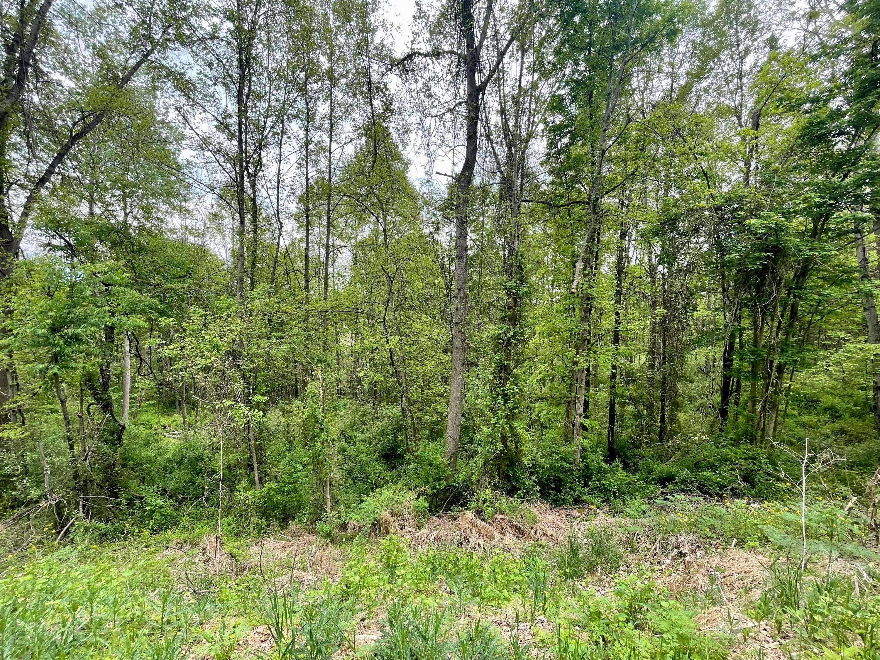 0 Pumpkin Ridge Road New Plymouth, OH 45654 - Photo 11 of 17 0 Pumpkin Ridge Road, New Plymouth