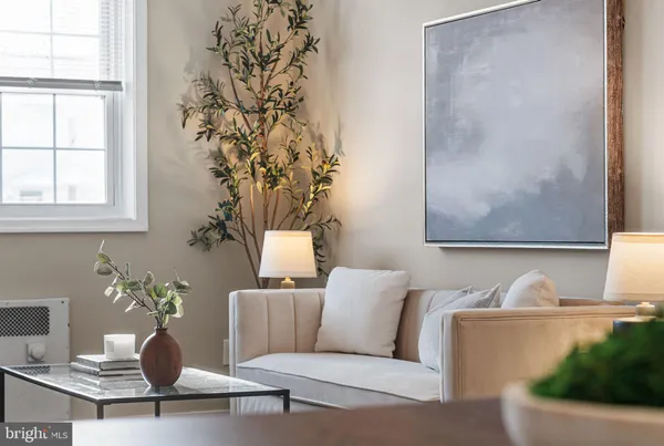 a living room with furniture and potted plant