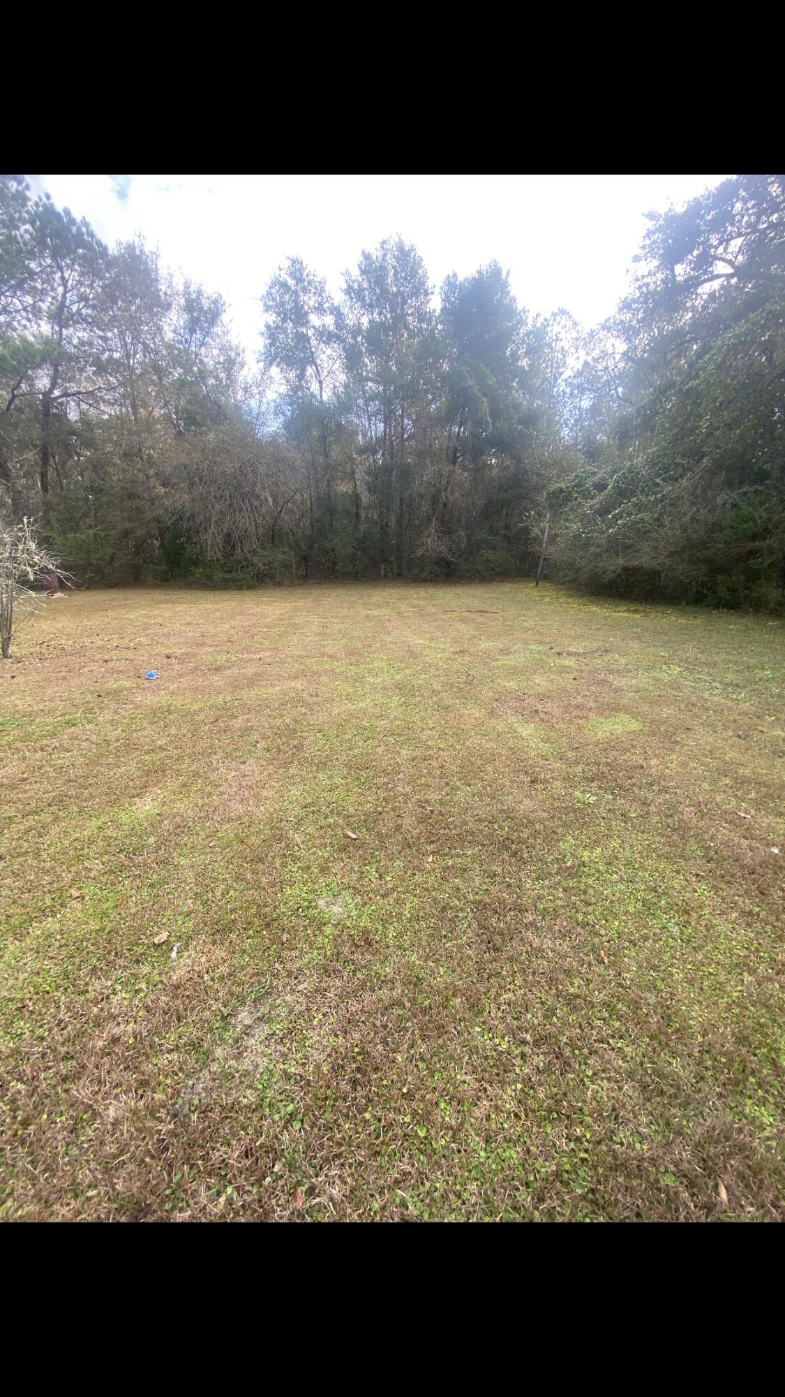 5333 Old River Road Baker, FL 32531 - Photo 9 of 12 a view of a yard