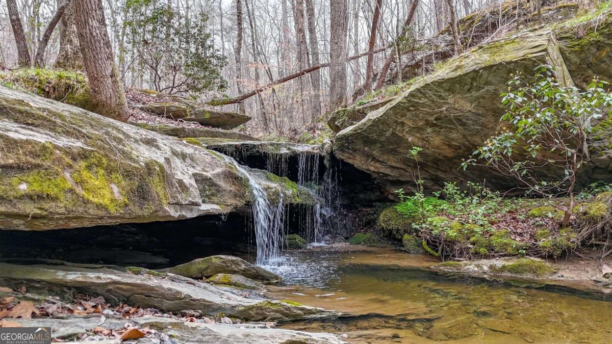 0 Felton Rockmart Road Buchanan, GA 30113 - Photo 3 of 47