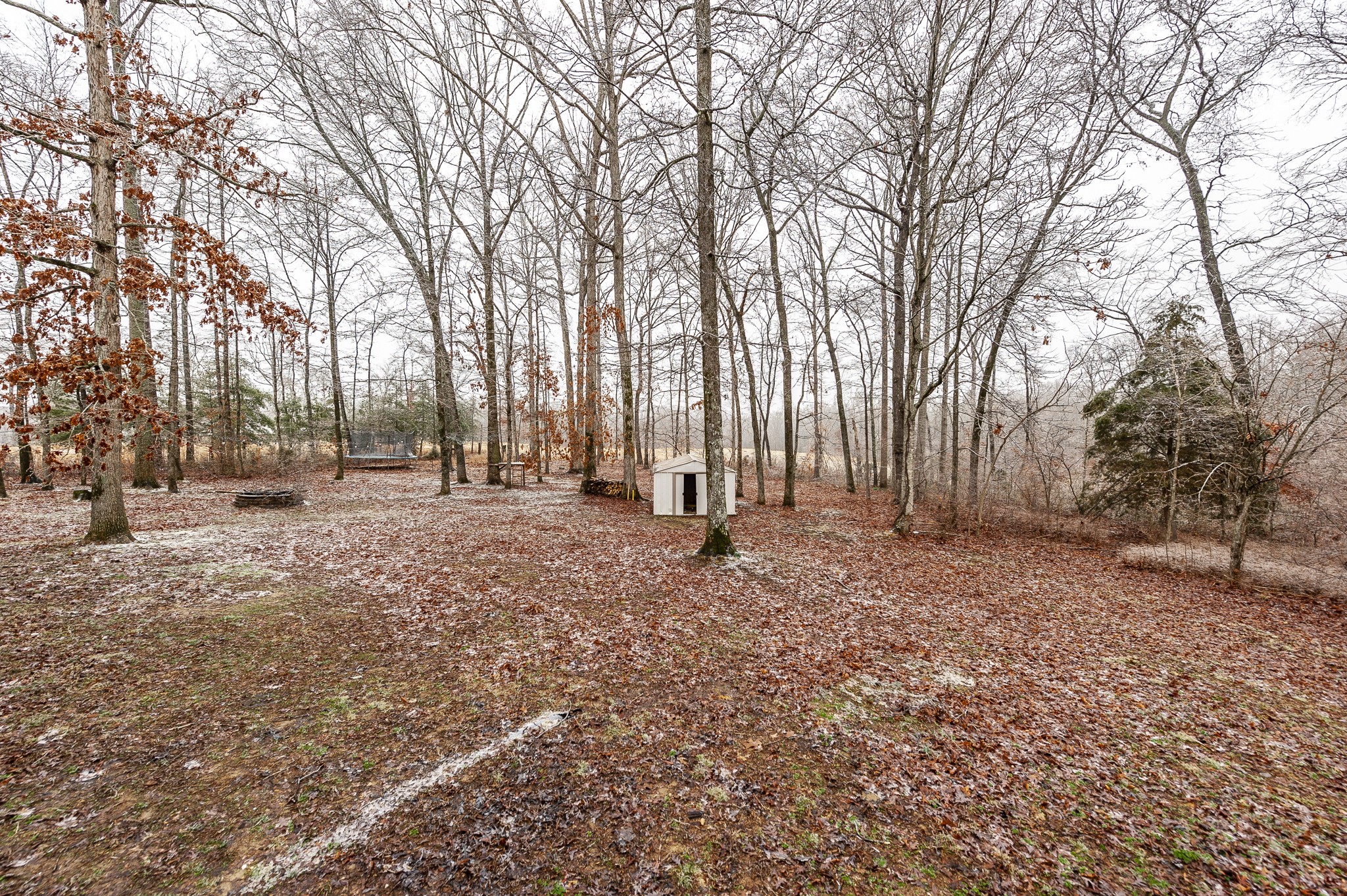 7123 Anglin Road Fairview, TN 37062 - Photo 31 of 38