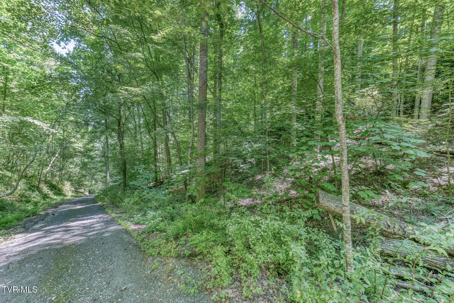 0 Banjo Ridge Road, Unit 18 Butler, TN 37640 - Photo 12 of 12 TBD Banjo Ridge-12