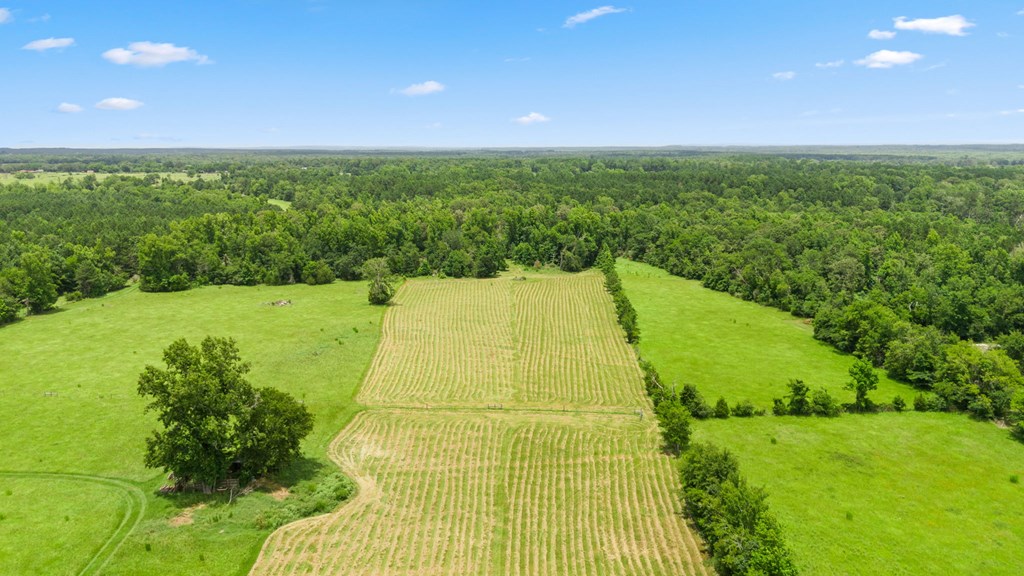 0 Fm 1211 Rusk, TX 75785 - Photo 13 of 14