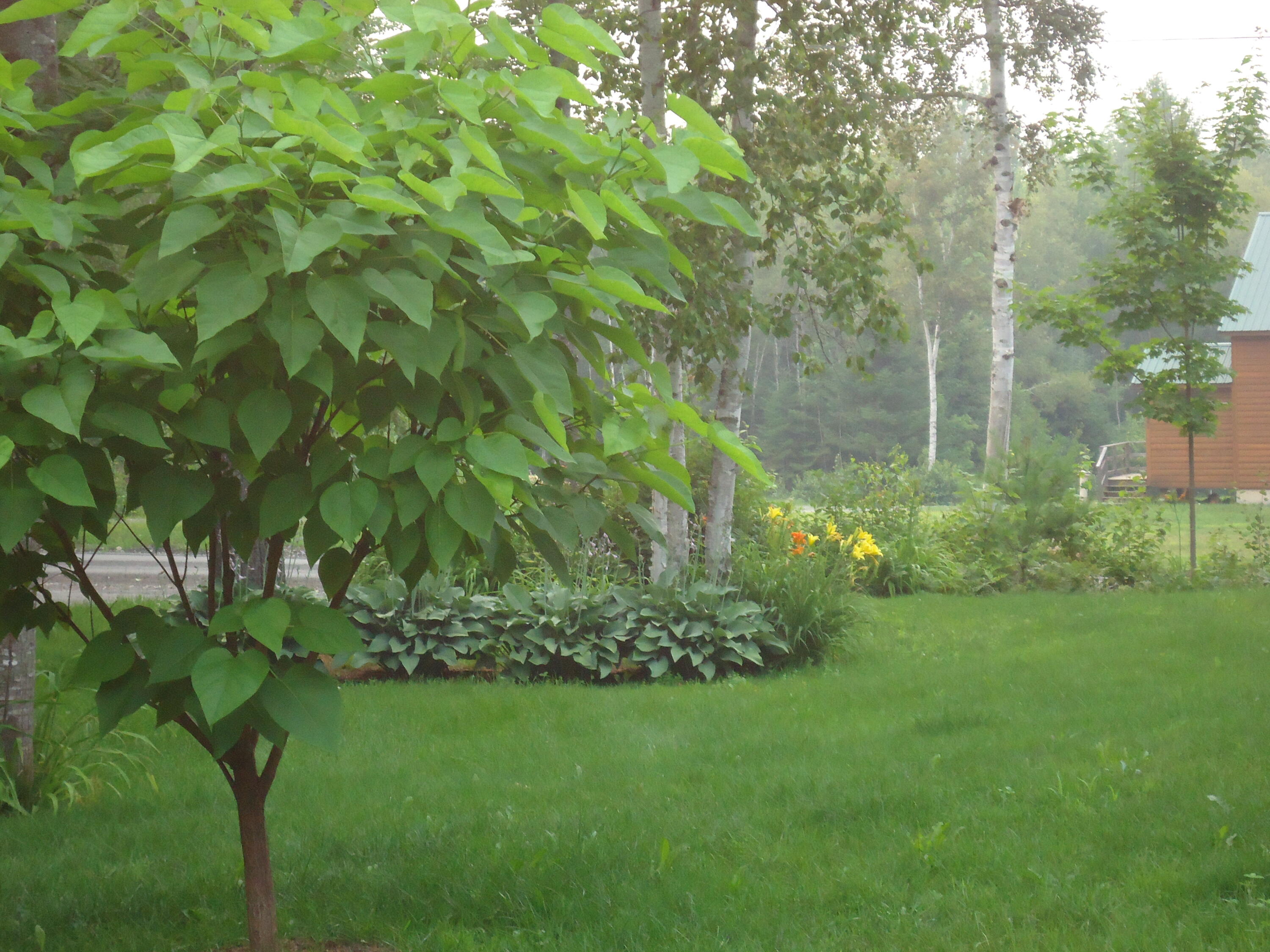 360 Moulton Road Embden, ME 04958 - Photo 12 of 33 DSC04072 - Copy - Copy