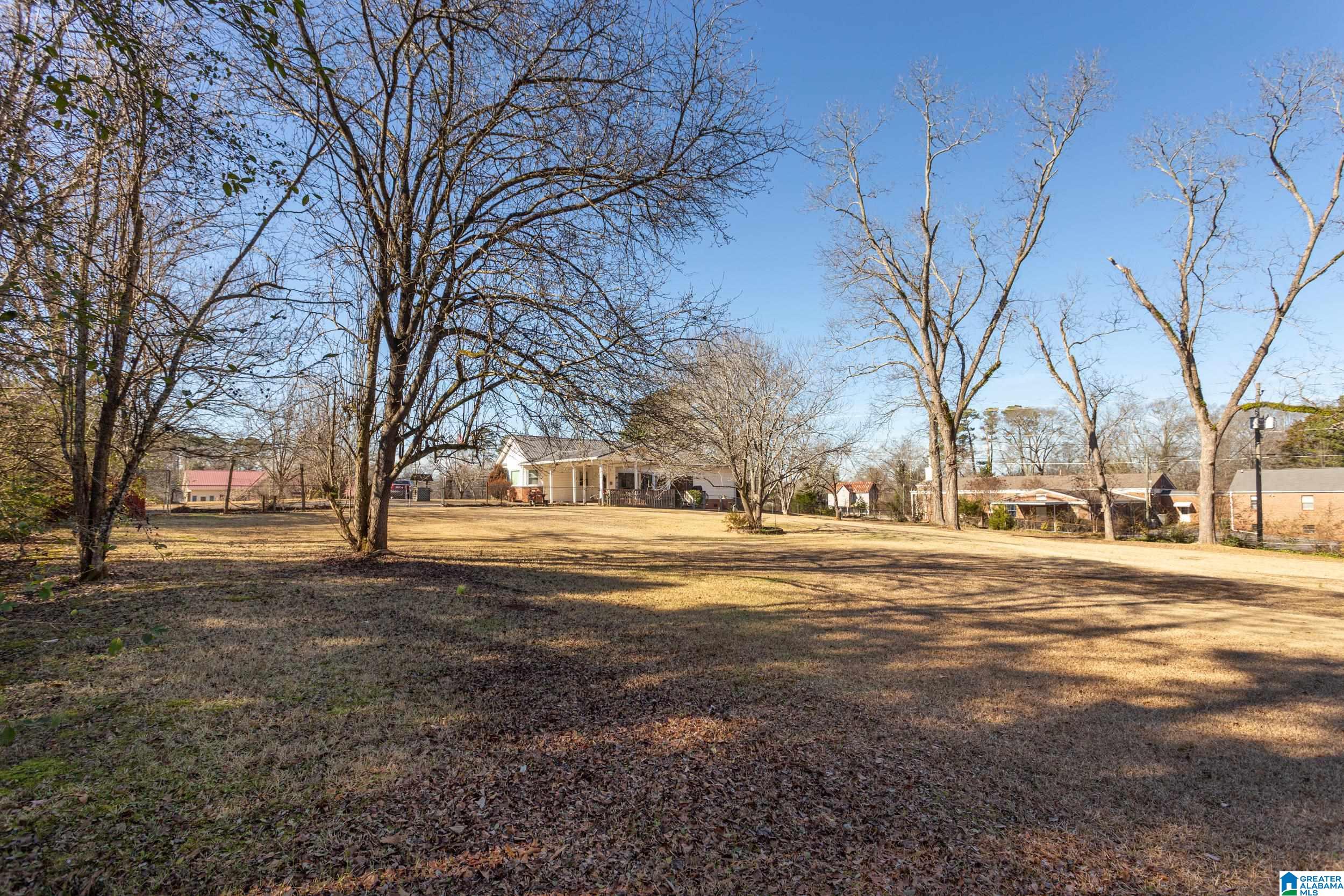 61 Chestnut Street Lincoln, AL 35096 - Photo 42 of 45