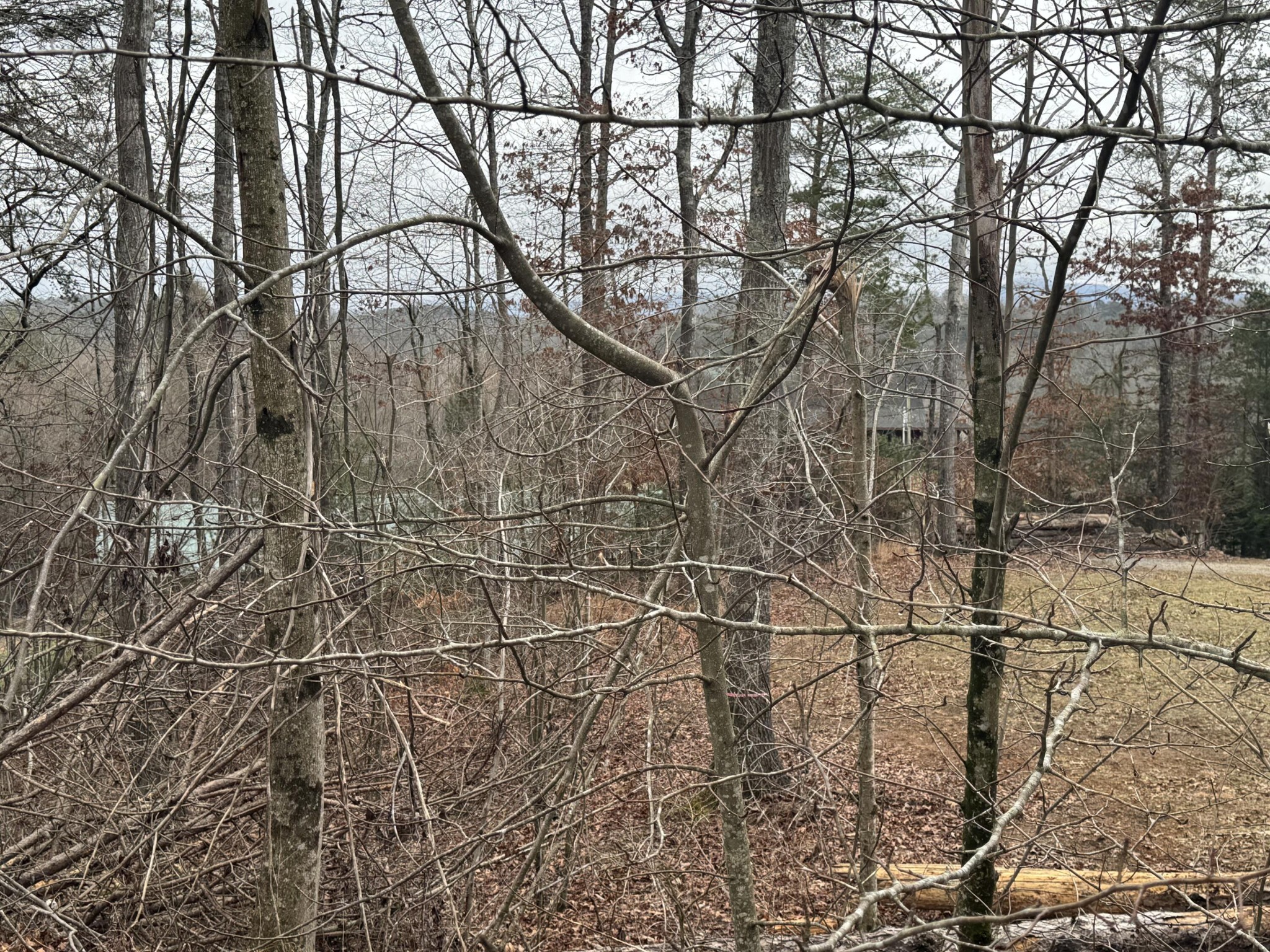 146 Croft Chapel Road Turtletown, TN 37391 - Photo 18 of 19 a backyard of a house