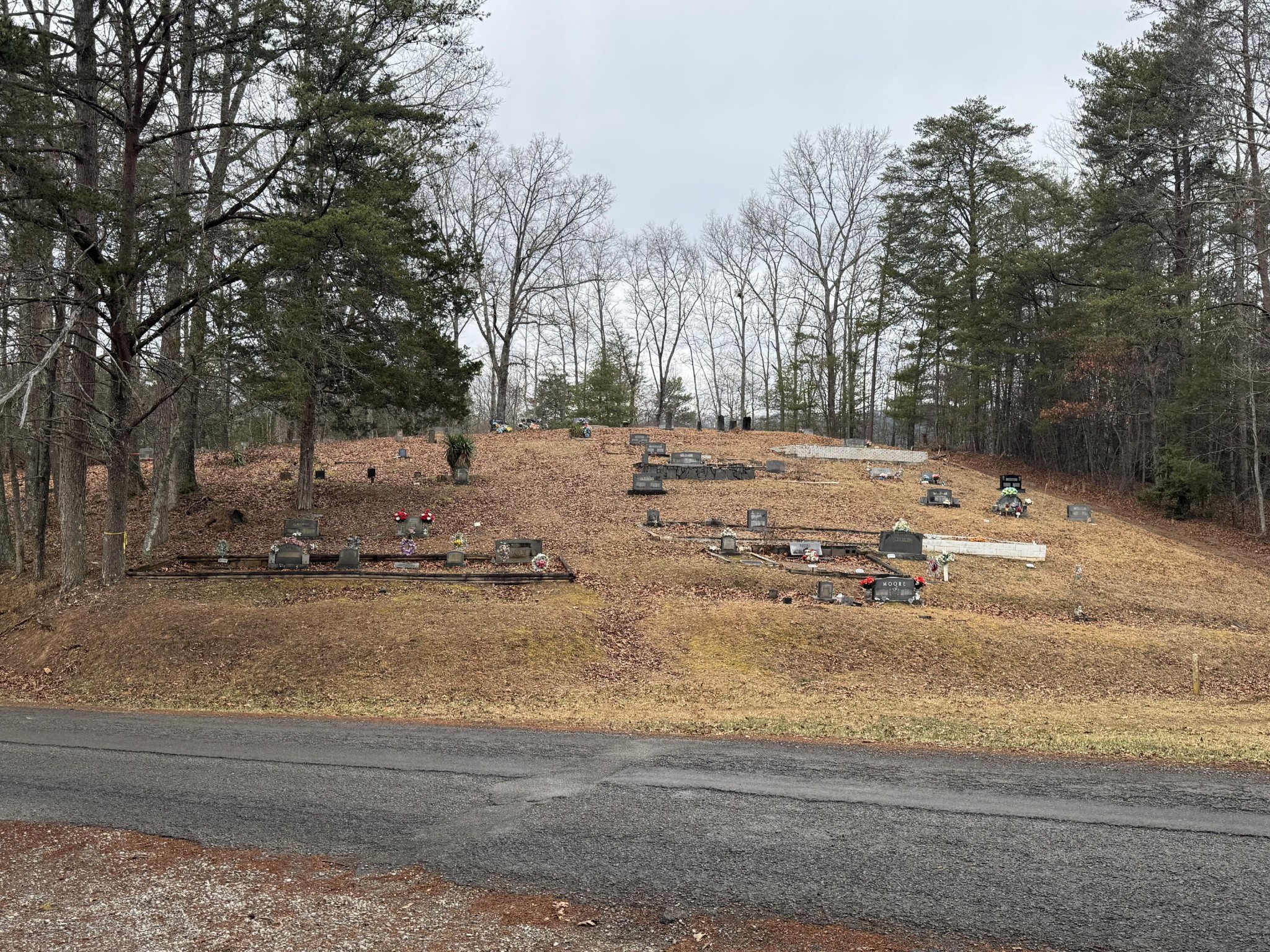 146 Croft Chapel Road Turtletown, TN 37391 - Photo 19 of 19 a view of a yard with large trees