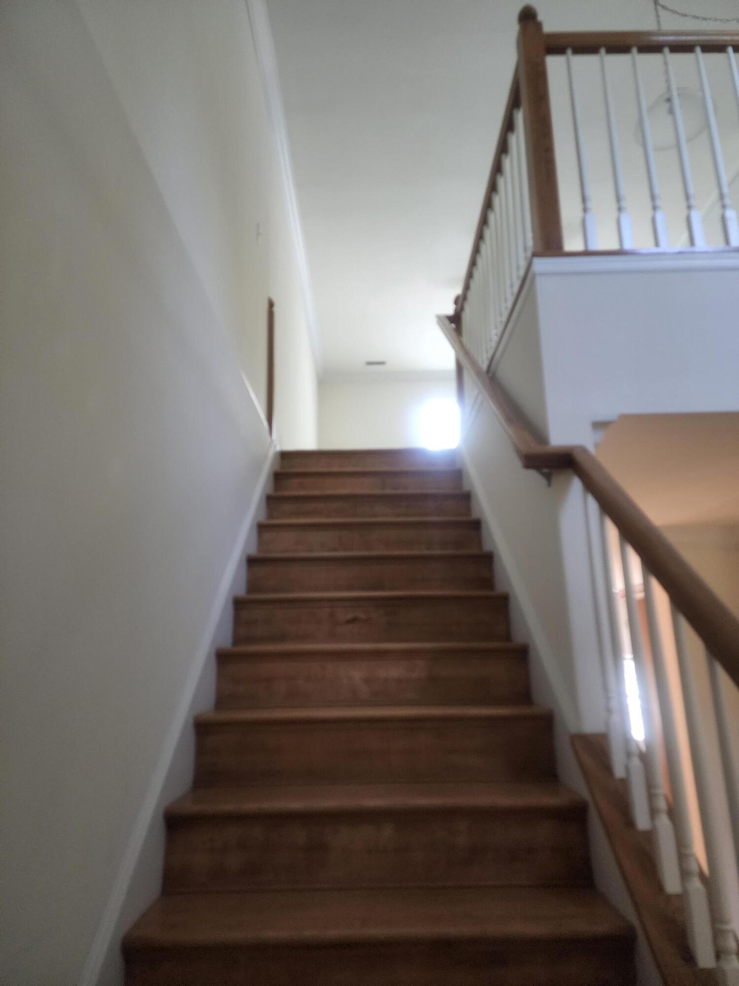 224 Sting Way Road Huger, SC 29450 - Photo 52 of 68 20220810_135135