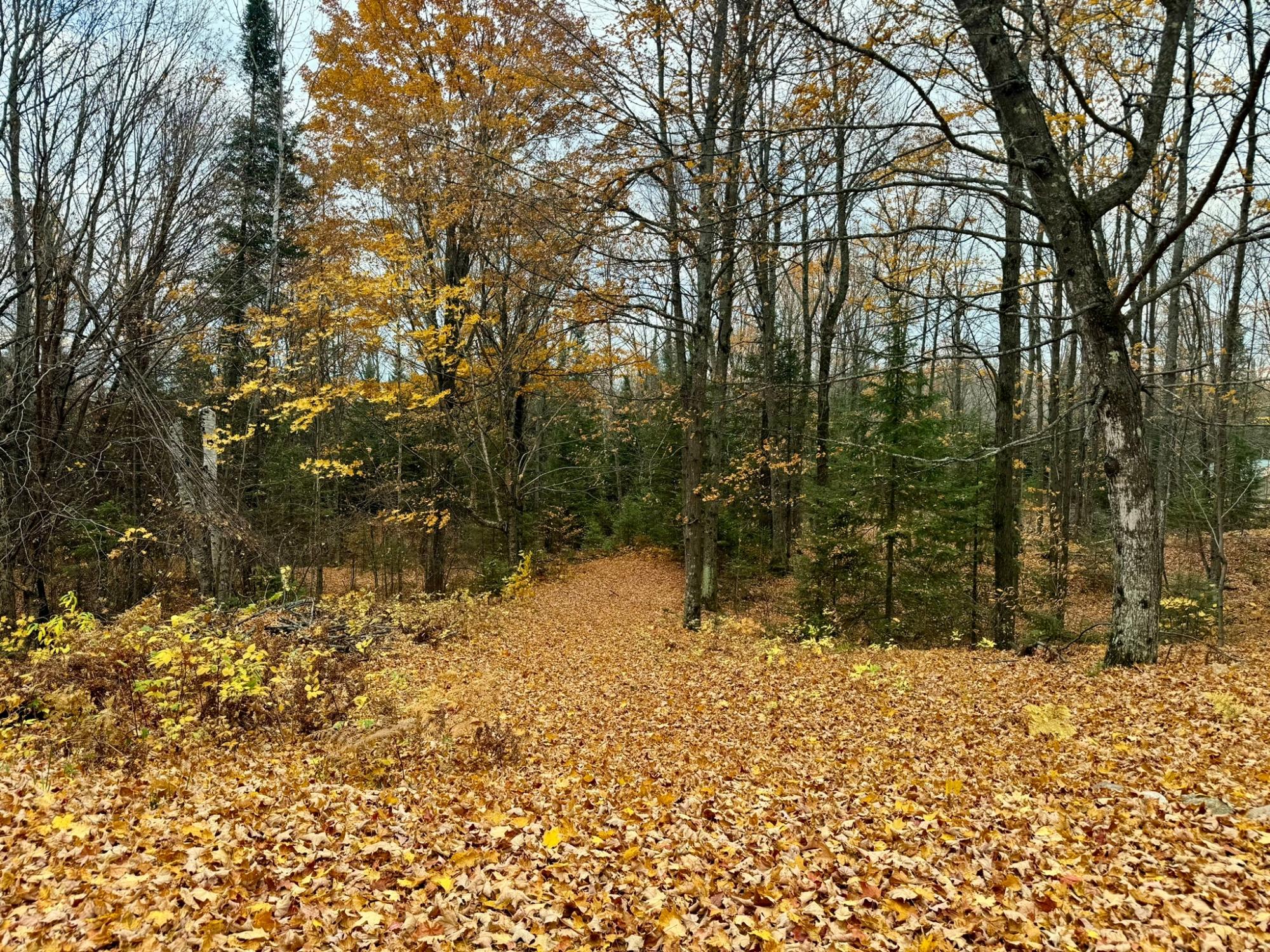 6134 Steve Javenkowski Road Three Lakes, WI 54562 - Photo 13 of 15 Gallery Image 13