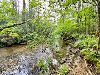 1345 Albert Frye Road Crossville, TN 38571 - Photo 59 of 60 Gallery Image 59