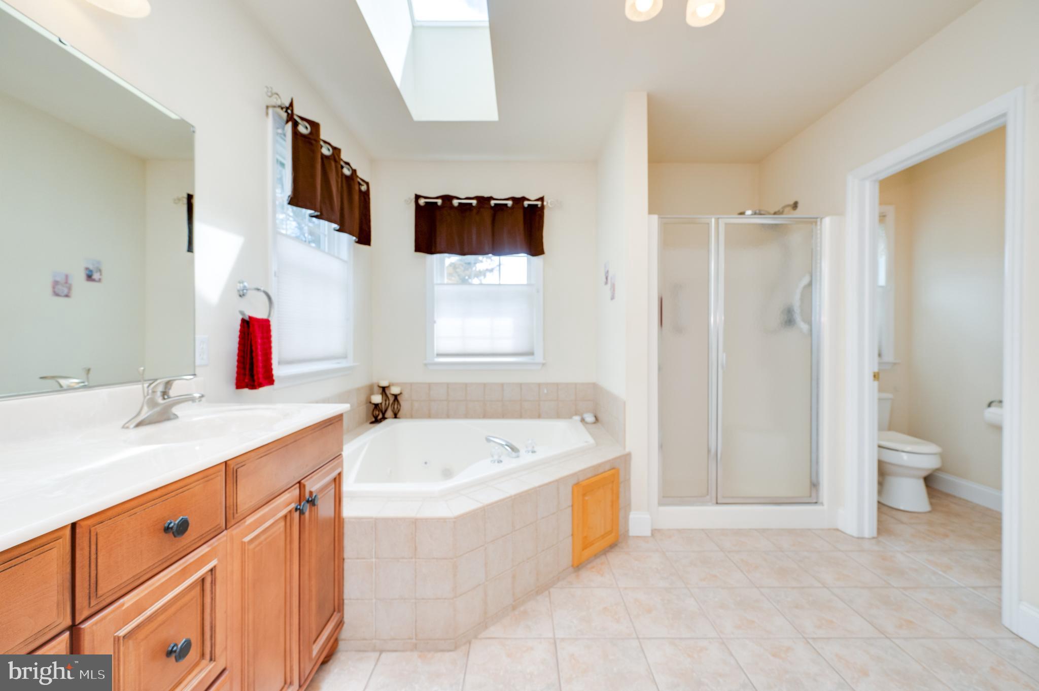 1203 Earl Road Leesport, PA 19533 - Photo 25 of 47 Primary bathroom