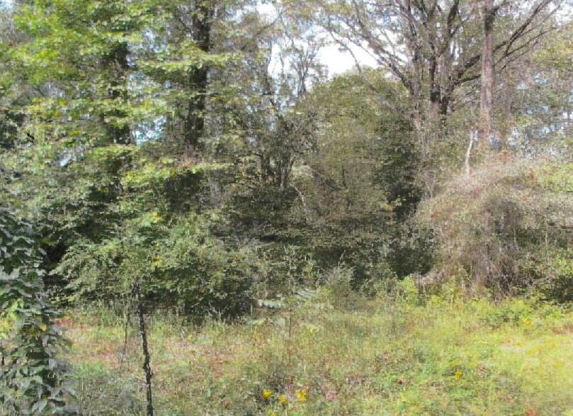 291 Wilson Creek Road Iva, SC 29655 - Photo 1 of 1