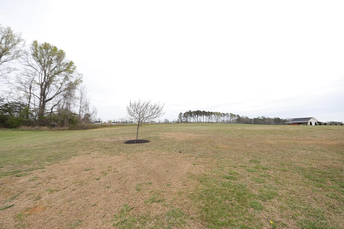 91 Red Wood Road Zebulon, NC 27597 - Photo 18 of 19 Photo 18
