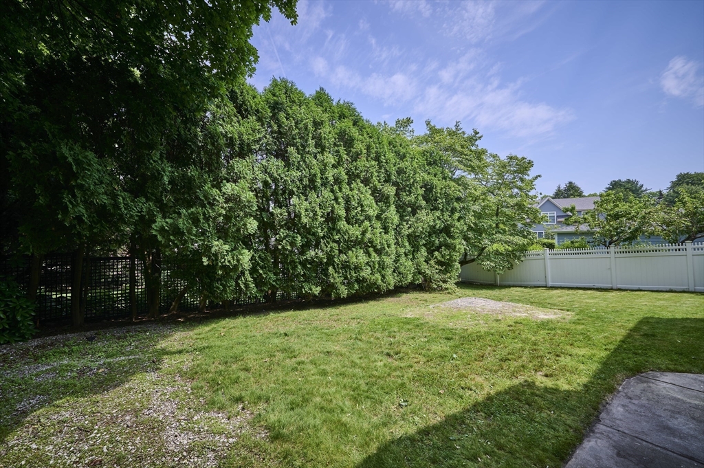419 Pond Street Boston, MA 02130 - Photo 31 of 35 Gallery Image 31