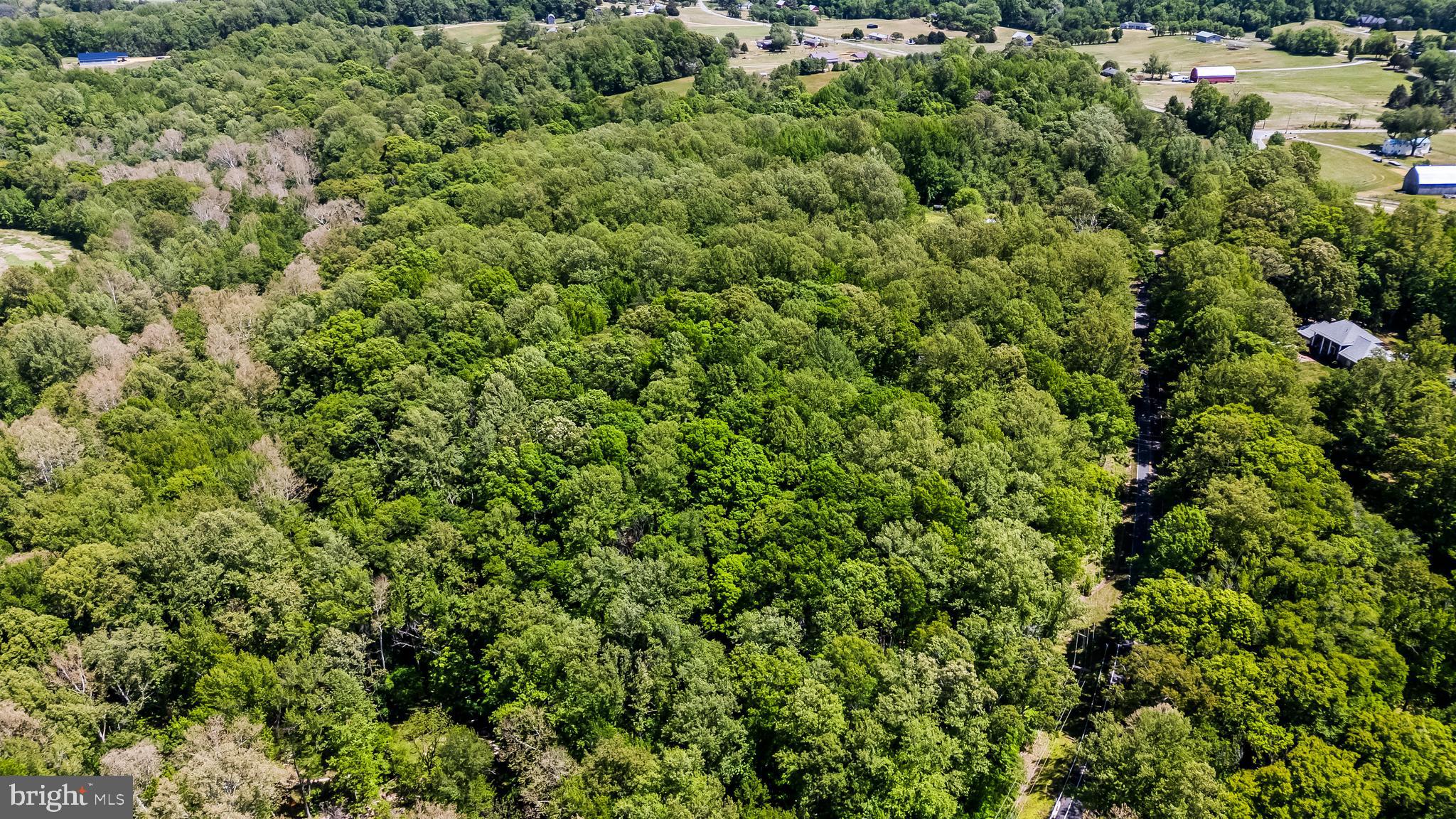 15690 Nelson Perrie Road Brandywine, MD 20613 - Photo 6 of 19