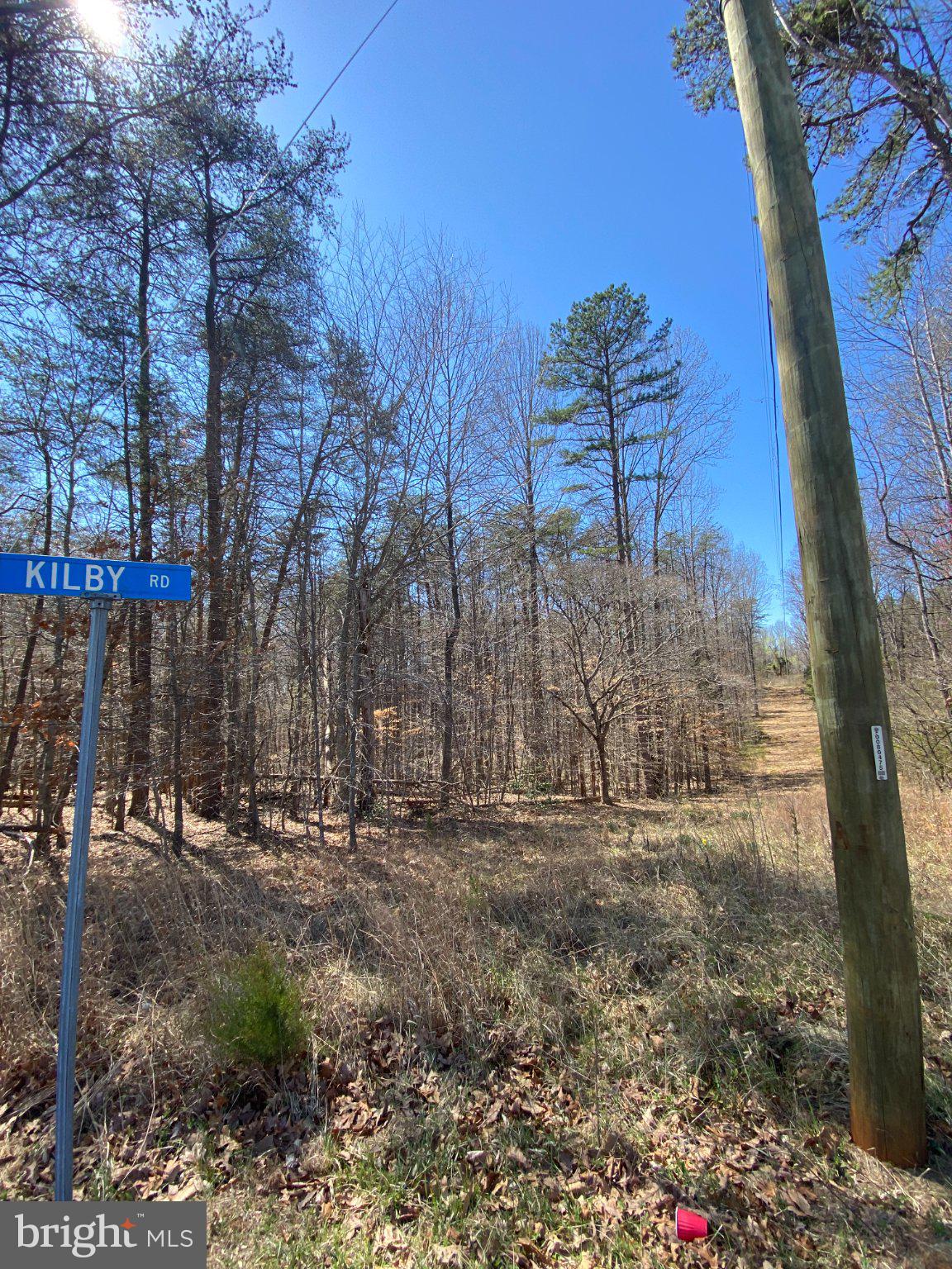 8424 Kilby Road Culpeper, VA 22701 - Photo 1 of 15 Serene path through the woods.