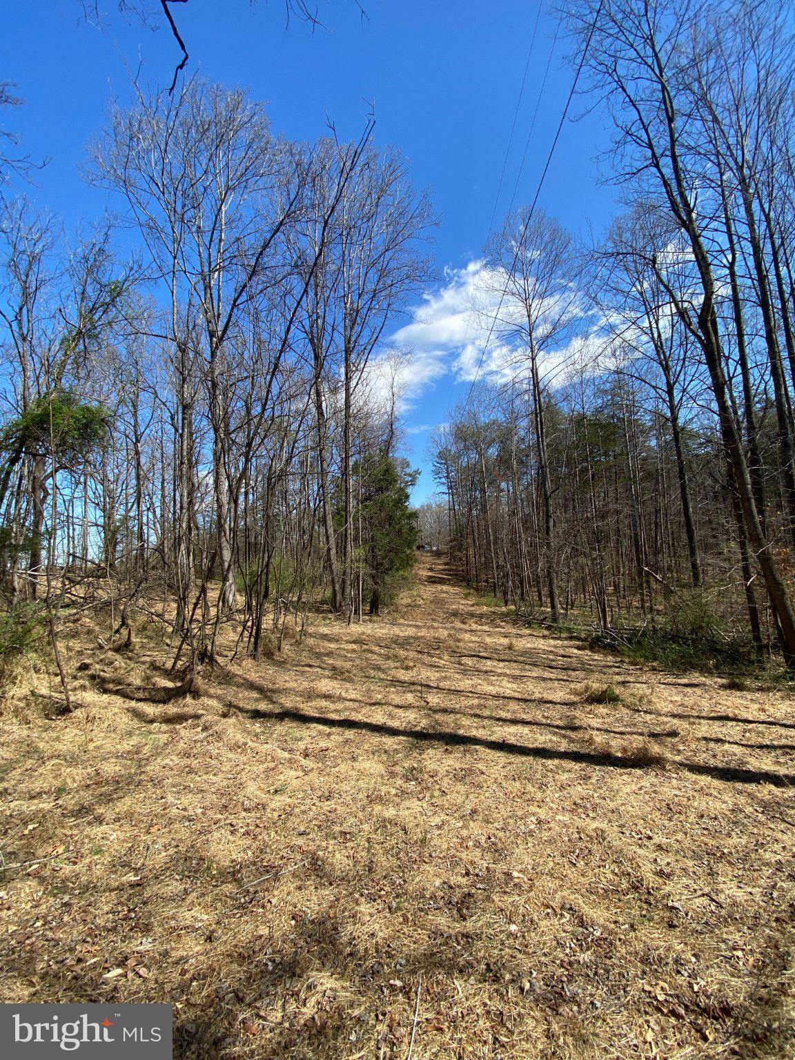 8424 Kilby Road Culpeper, VA 22701 - Photo 7 of 15 Serene woodland path under blue skies.