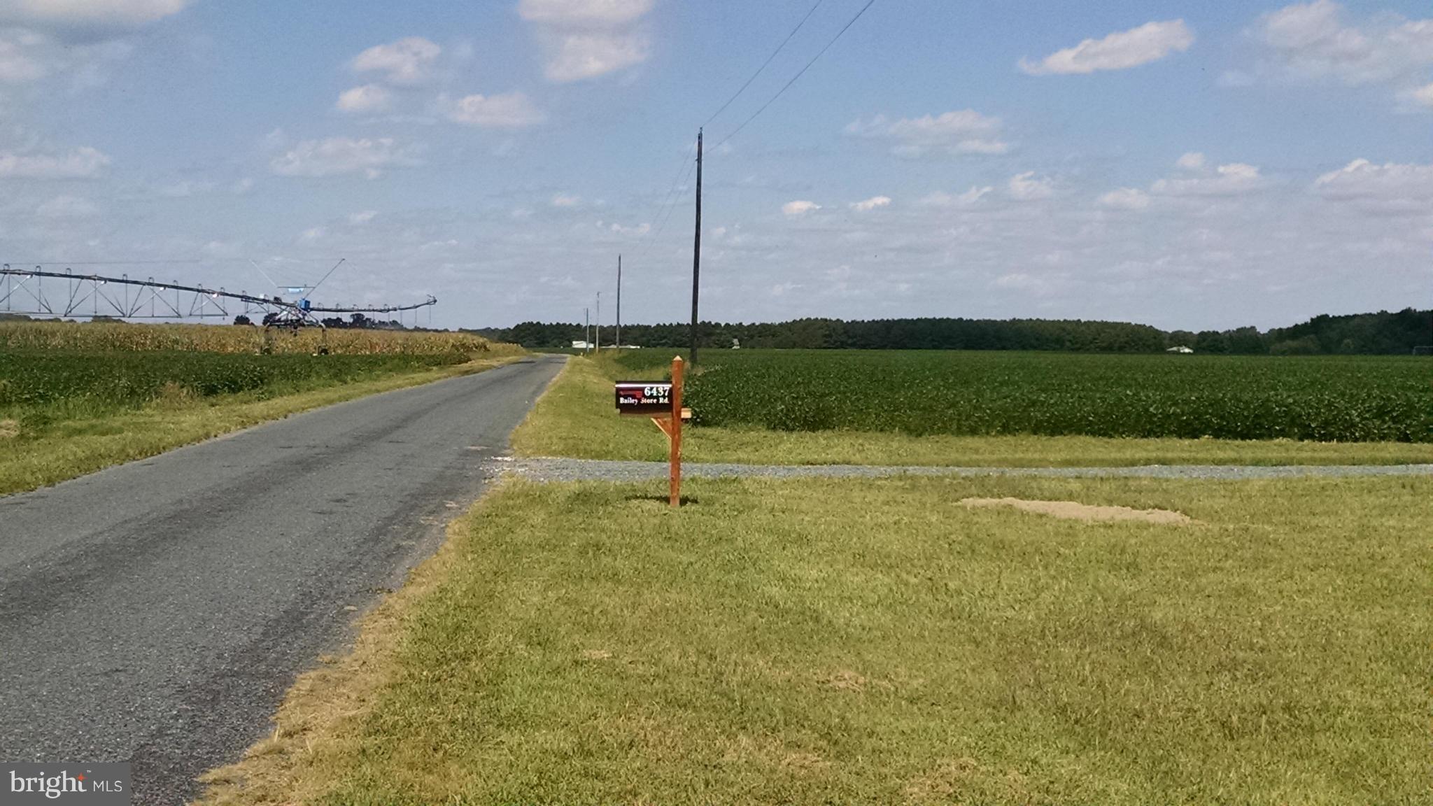6437 Bailey Store Road Federalsburg, MD 21632 - Photo 24 of 28 Community