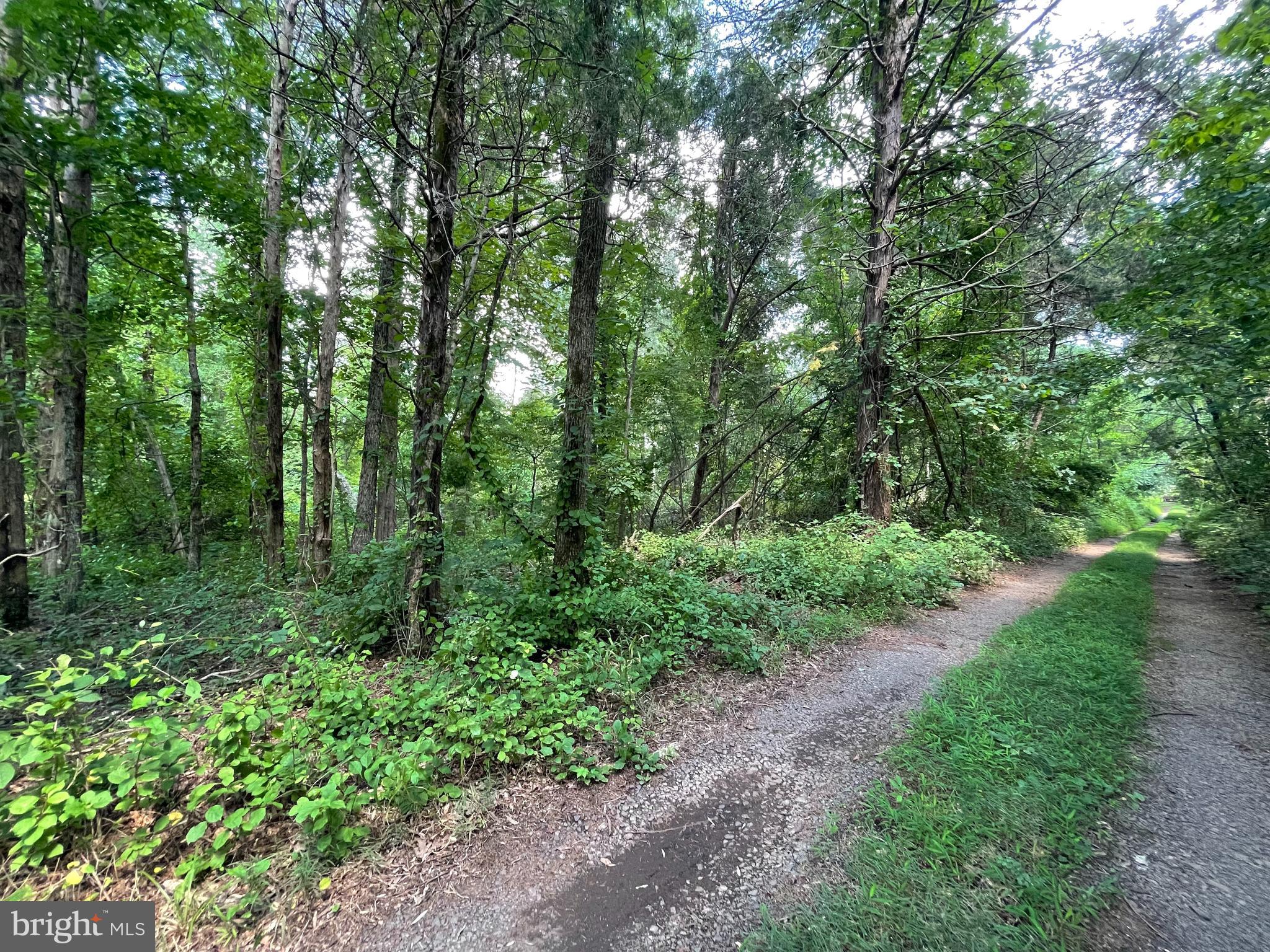 Old Hurleytown Road Midland, VA 22728 - Photo 1 of 1 Gallery Image 1