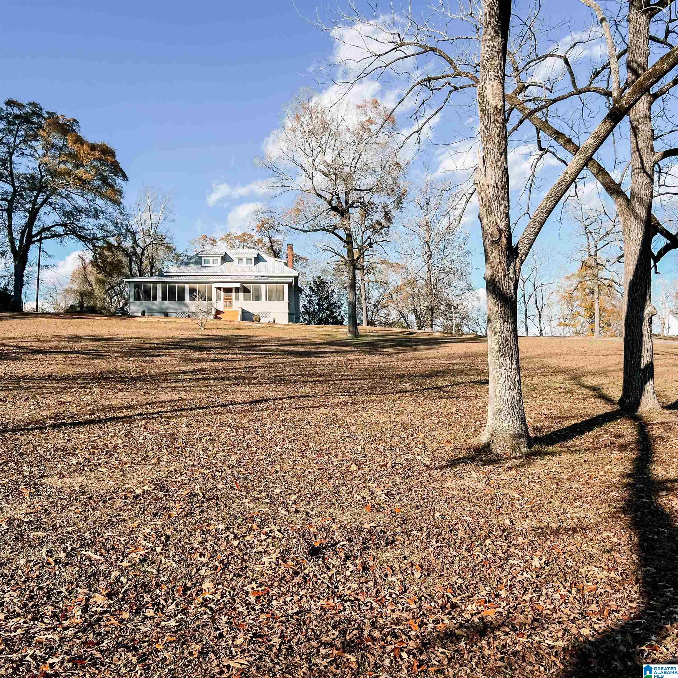 905 1st Avenue Ragland, AL 35131 - Photo 2 of 38