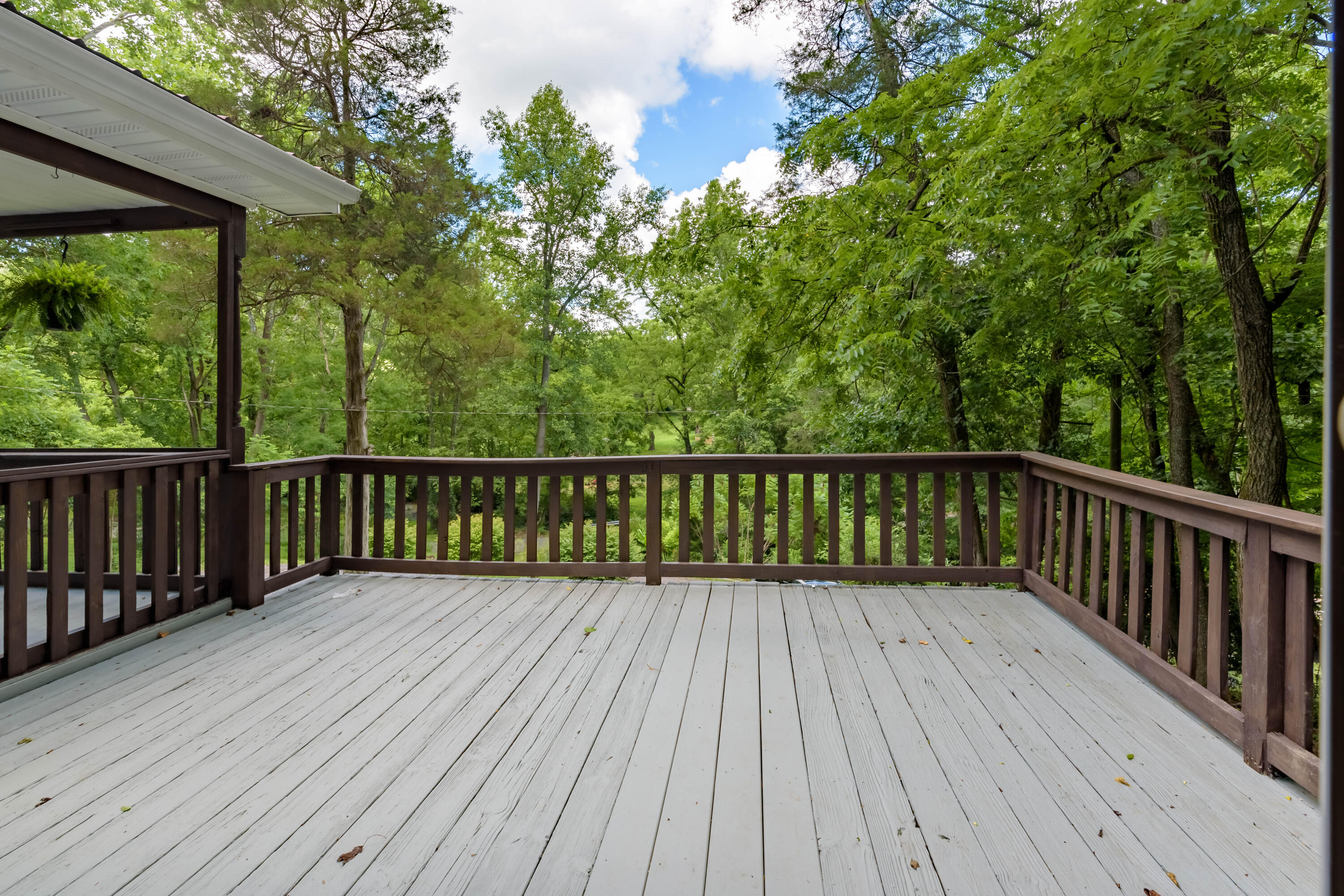 213 Steele Creek Road Bristol, TN 37620 - Photo 40 of 42 Steele Creek-3