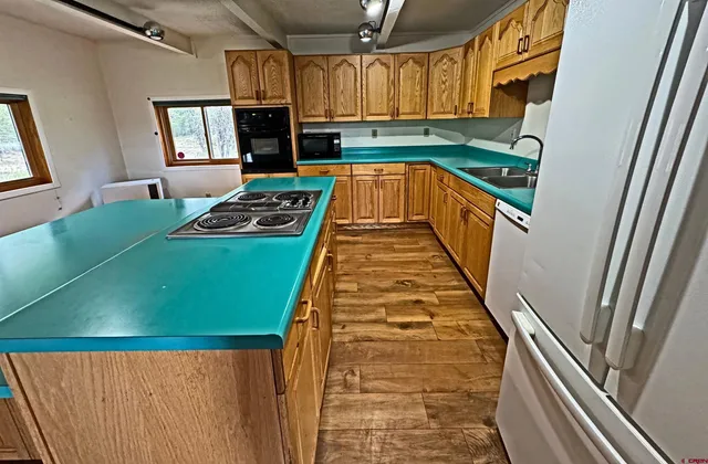 a view of a bunch of trees in a yard