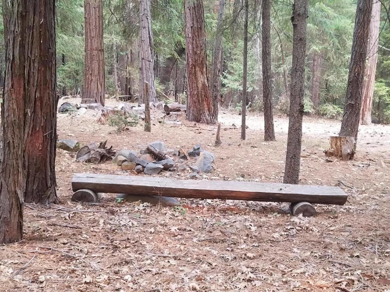 0 Smith Logging Road Whitmore, CA 96096 - Photo 16 of 28 a view of a backyard of the house