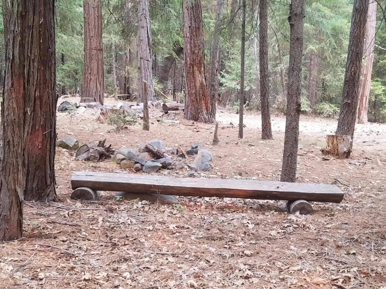 0 Smith Logging Road Whitmore, CA 96096 - Photo 17 of 28 a view of a backyard of the house