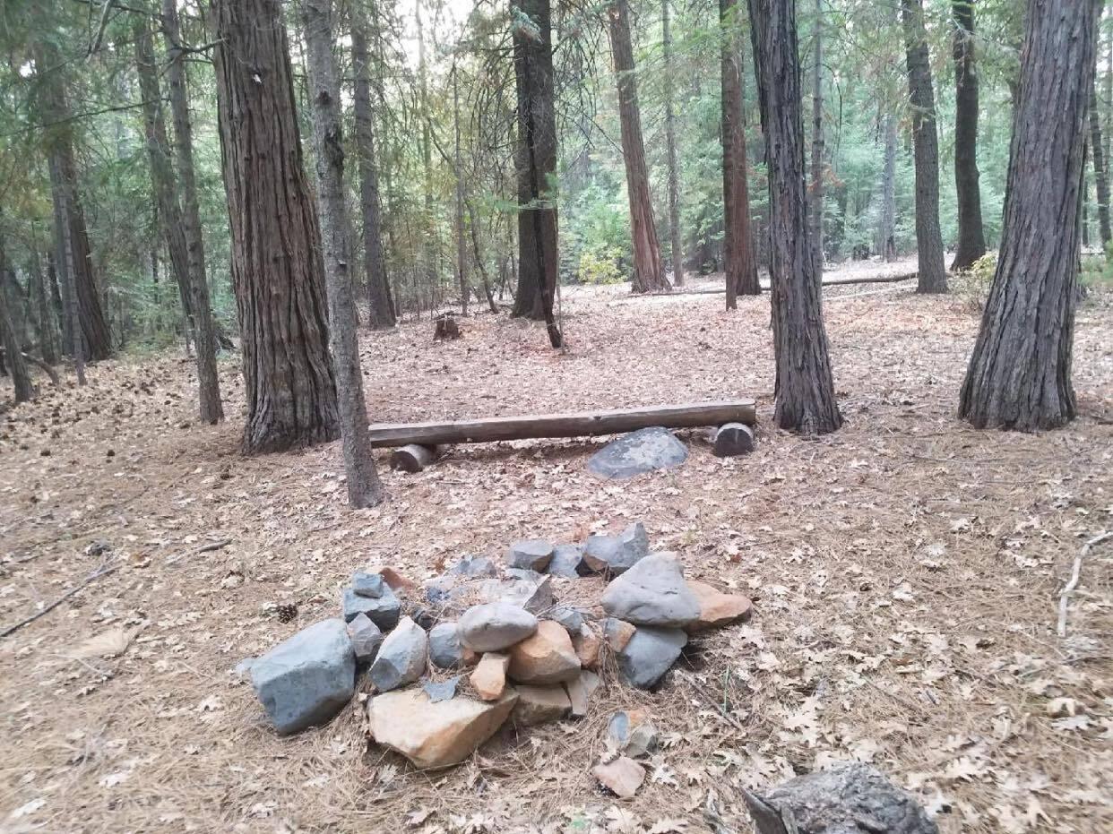 0 Smith Logging Road Whitmore, CA 96096 - Photo 18 of 28 a backyard of a house with lots of green space and chair