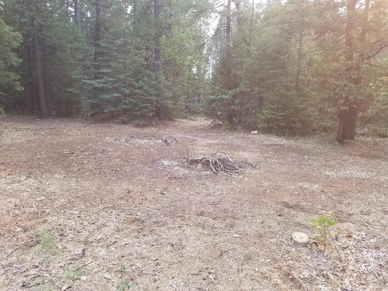0 Smith Logging Road Whitmore, CA 96096 - Photo 19 of 28 a view of a dry yard with trees