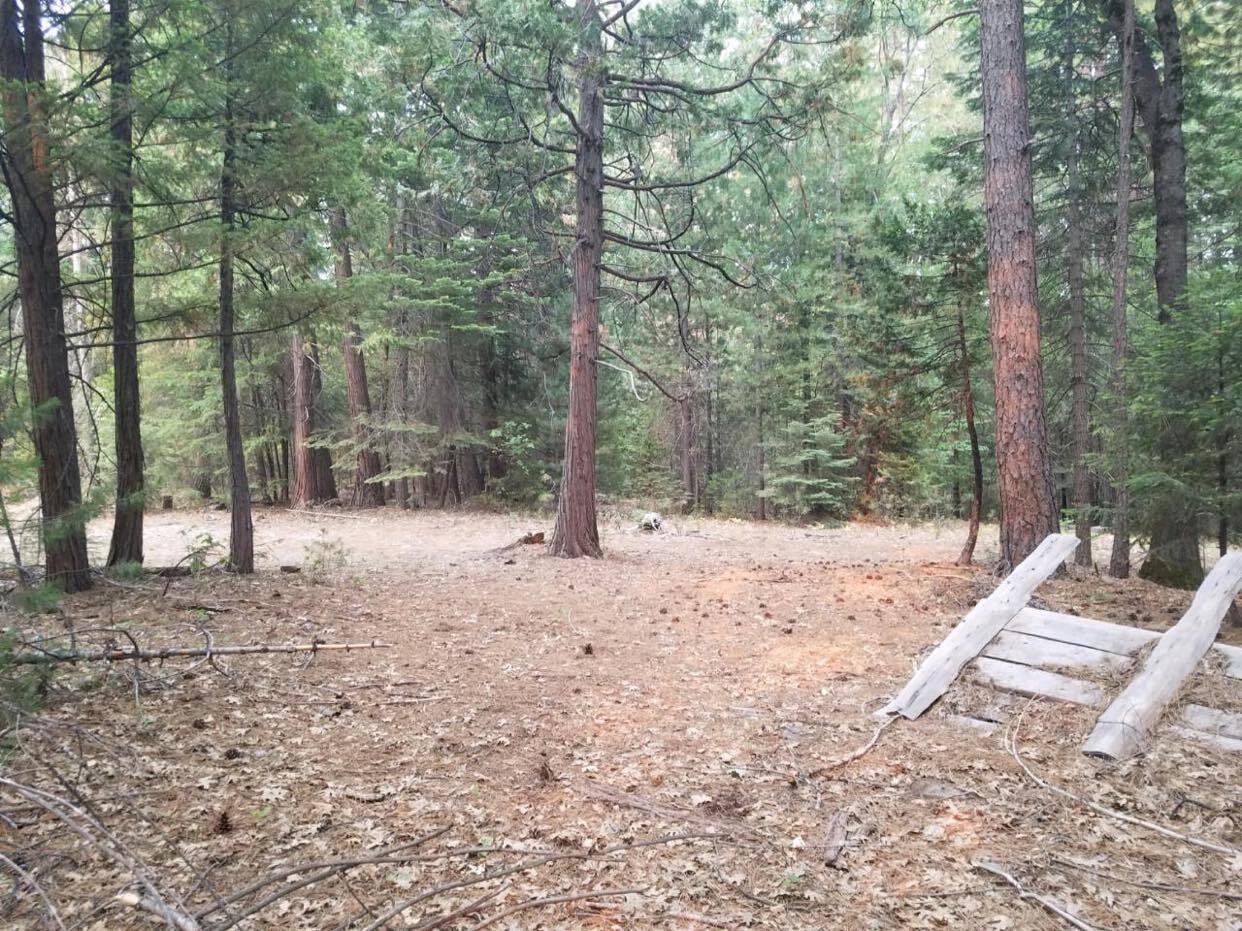 0 Smith Logging Road Whitmore, CA 96096 - Photo 23 of 28 a view of a yard with wooden fence