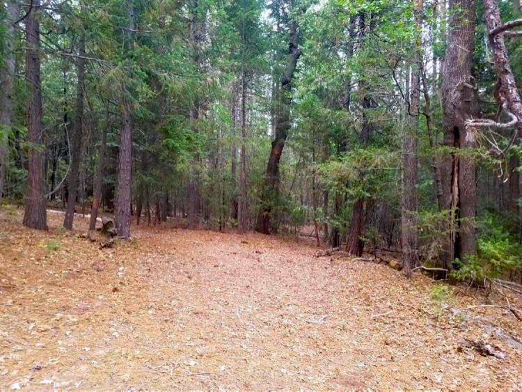 0 Smith Logging Road Whitmore, CA 96096 - Photo 28 of 28 a view of outdoor space with trees