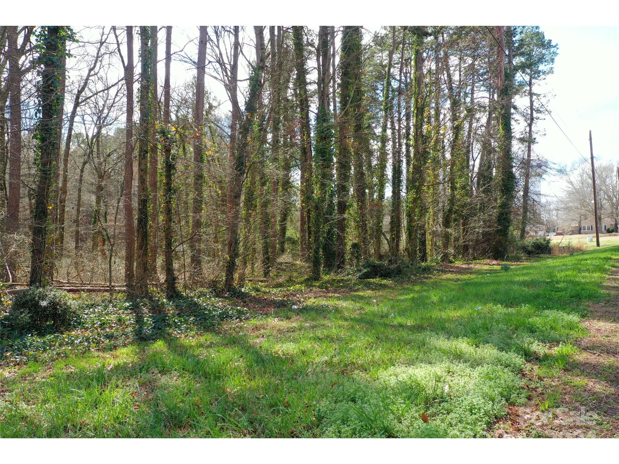 0 Hephzibah Church Road, Unit 1 Cherryville, NC 28021 - Photo 15 of 28 Gallery Image 15